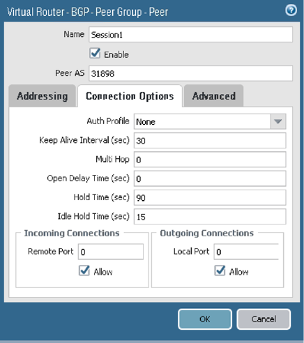 This image shows the BGP peer Connection Options tab.