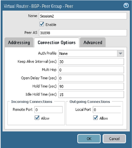 This image shows the BGP peer Connection Options tab.