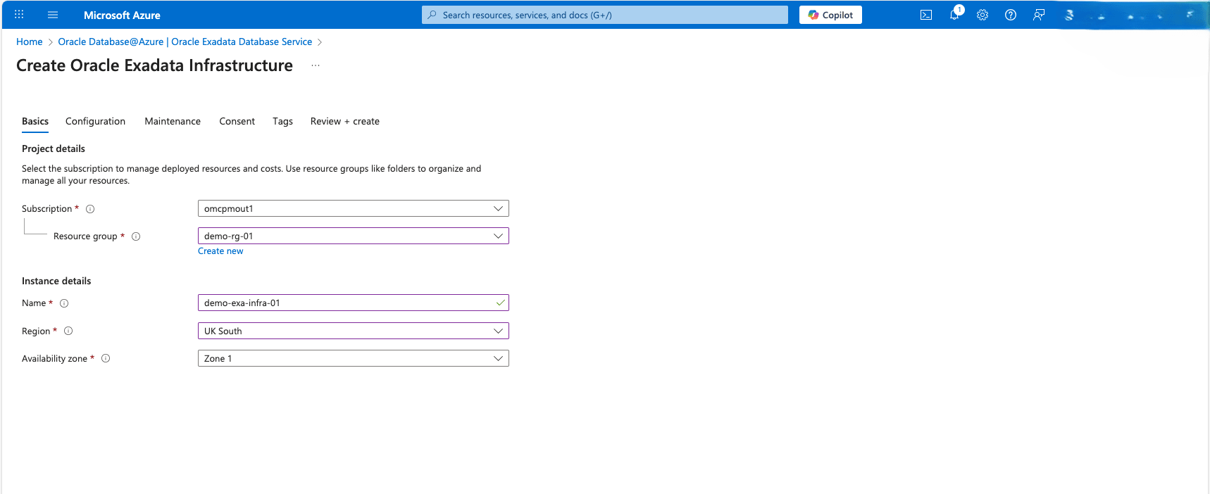 This screenshot shows the Basics step.