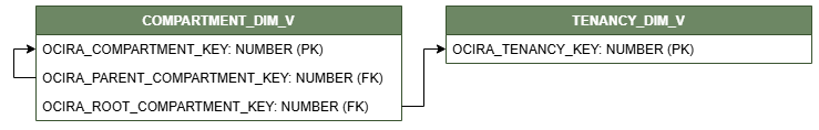 [COMPARTMENT_DMI_V view connected to TENANCY_DIM_V.