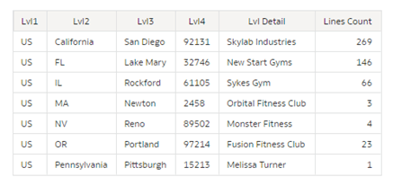 Report displaying the custom hierarchy details
