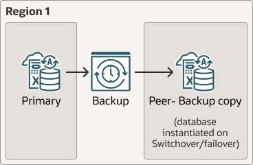 Description of backup-based-dr-local.eps follows