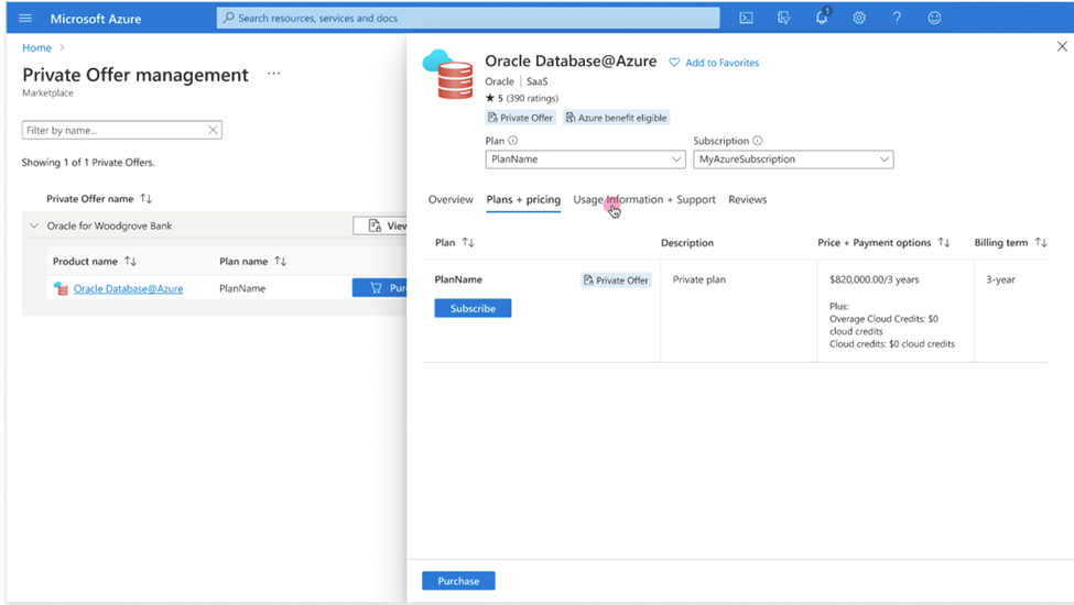 Click to expand An image of the Azure portal showing the Plans + pricing tab of the private offer purchase.