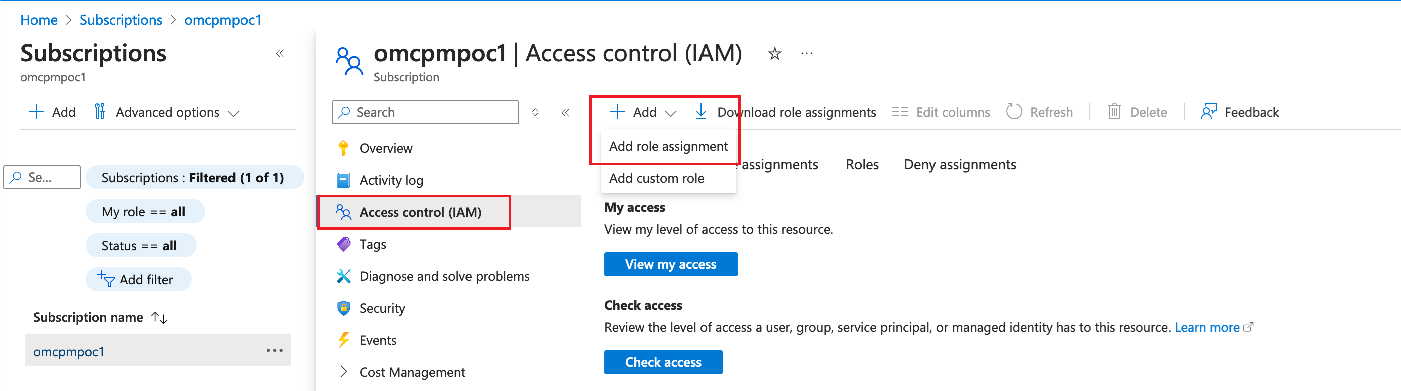 Click to expand An image of the subscription details page showing the Access Control (IAM) section.